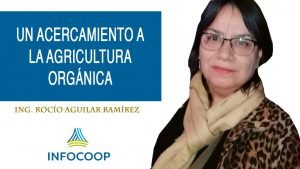 Un acercamiento a la agricultura orgánica